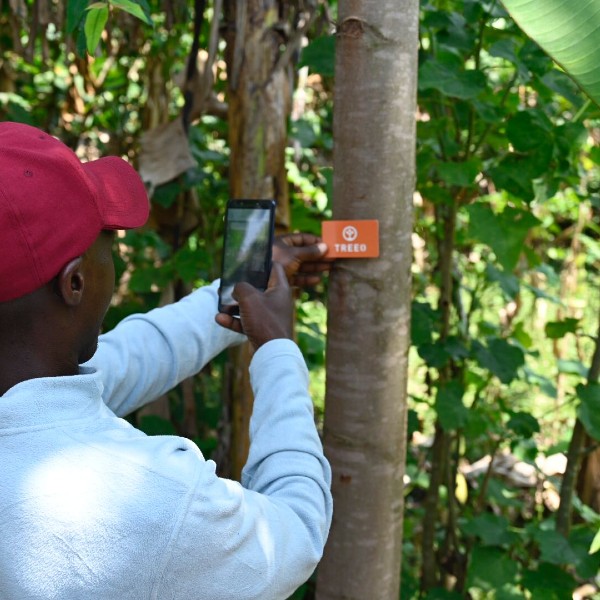 Single tree monitoring with the TREEO App